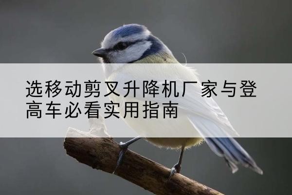 石柱电动升降机厂家-选移动剪叉升降机厂家与登高车必看实用指南