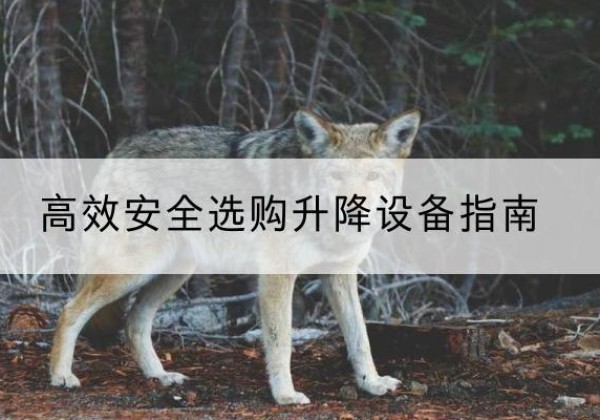 石柱升降货梯厂家推荐-*安全选购升降设备指南